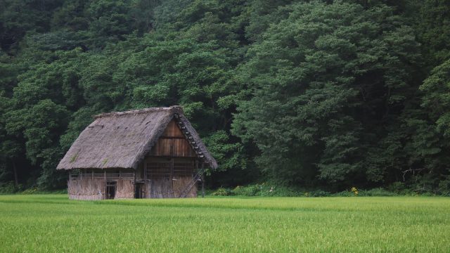 田んぼの中の家