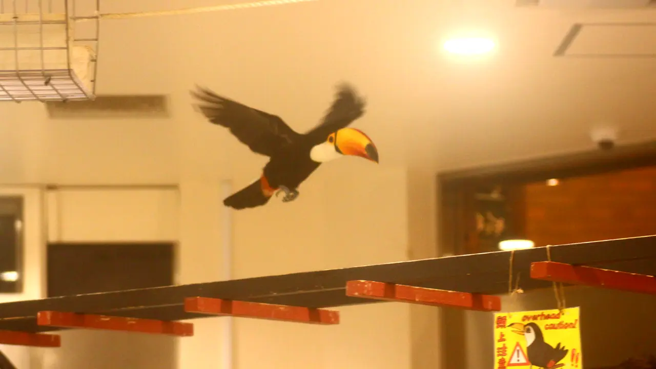 アニタッチ　みなとみらい店　オオハシの大飛行