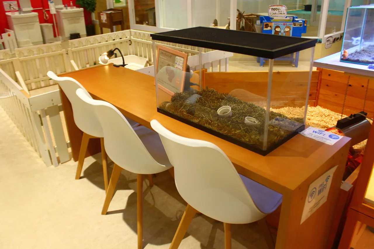 アニタッチイオンモール太田　コワーキングスペース