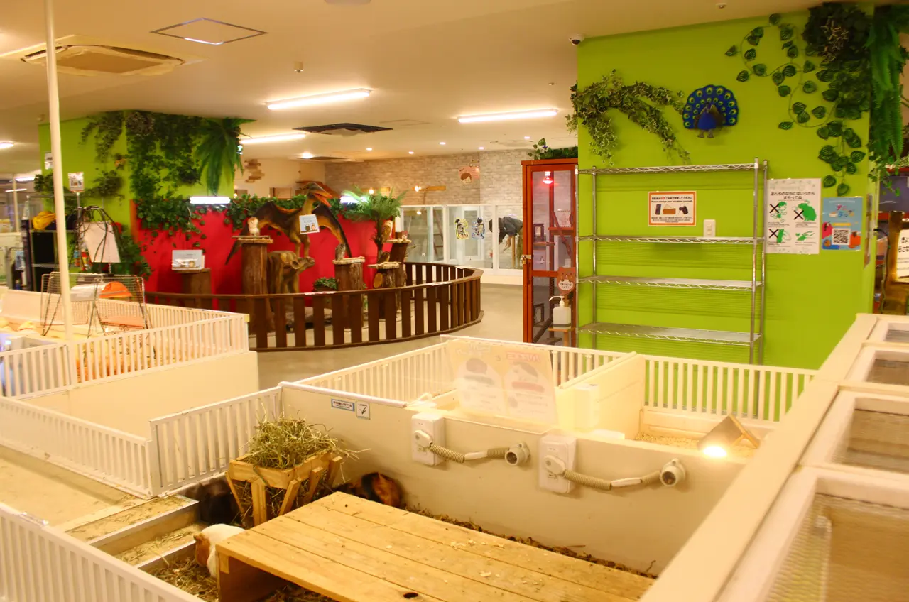 アニタッチ 東京ドームシティ店