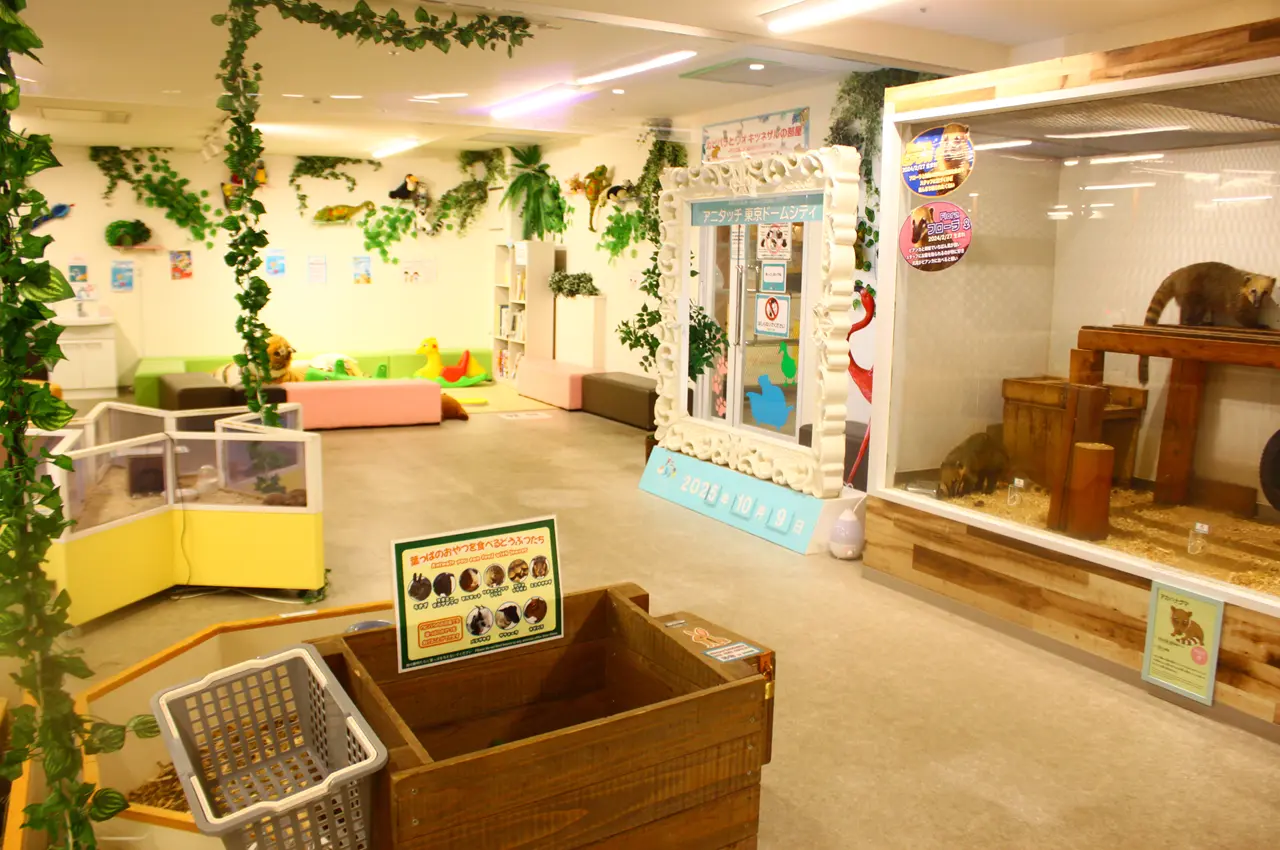 アニタッチ　東京ドームシティ店