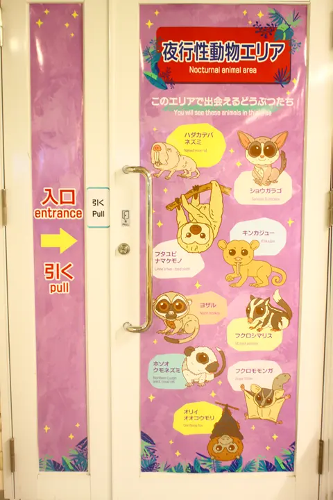 アニタッチ　東京ドームシティ店　夜行性動物エリア