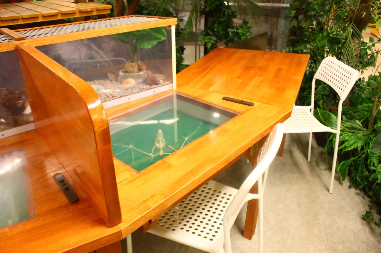 アニタッチ　東京ドームシティ店　ワークスペース