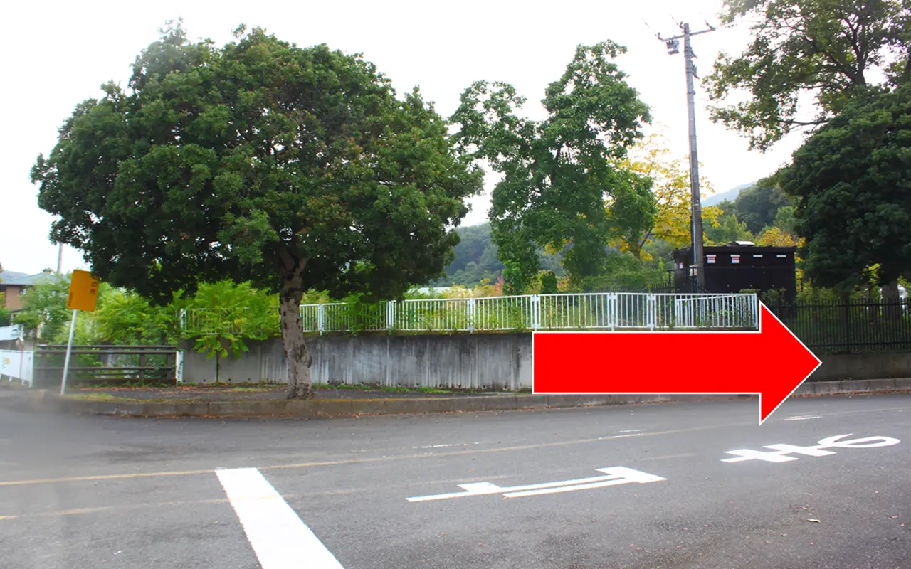 ぐんまこどもの国　大きな木のある橋で右折