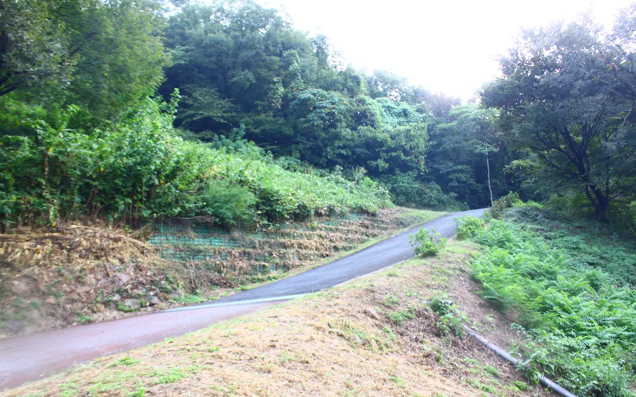 ぐんまこどもの国 山頂遊歩道