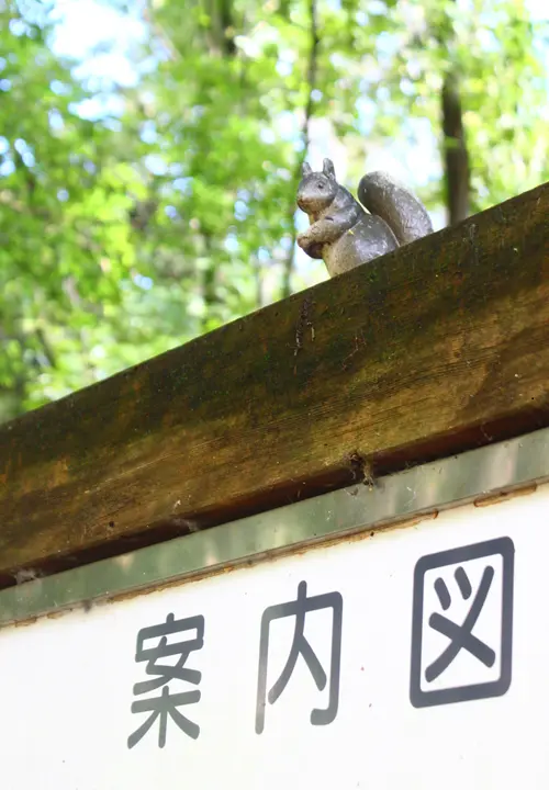 ぐんまこどもの国　自然ふれあいゾーン　リスのいる案内板