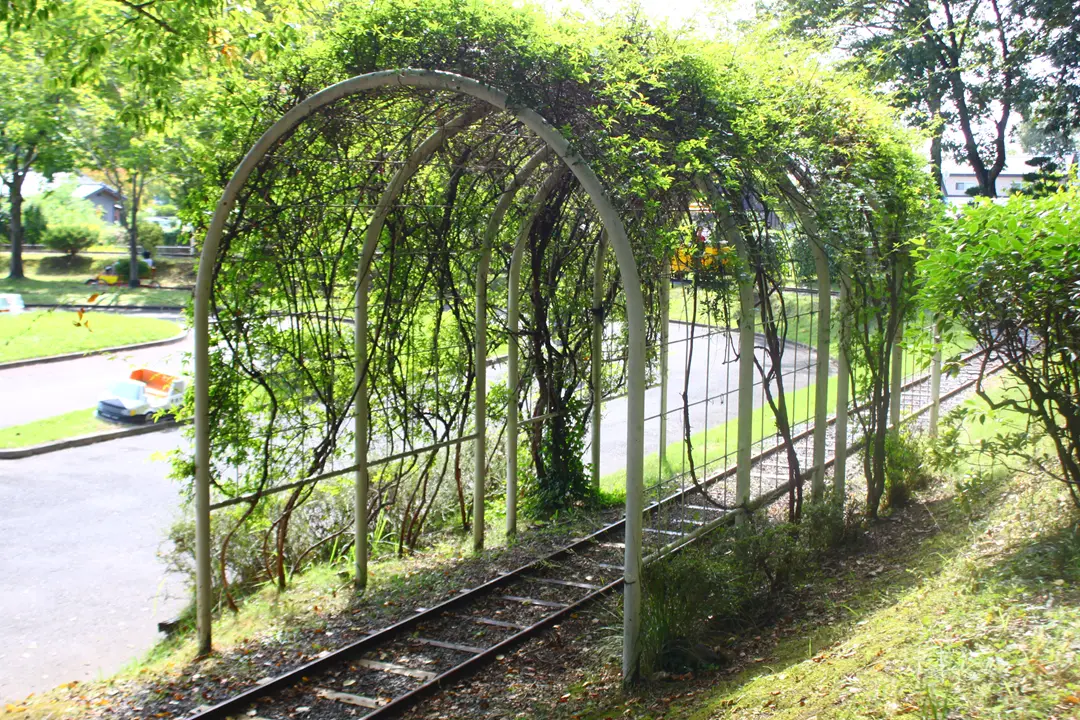 ぐんまこどもの国　サイクル広場　トンネル