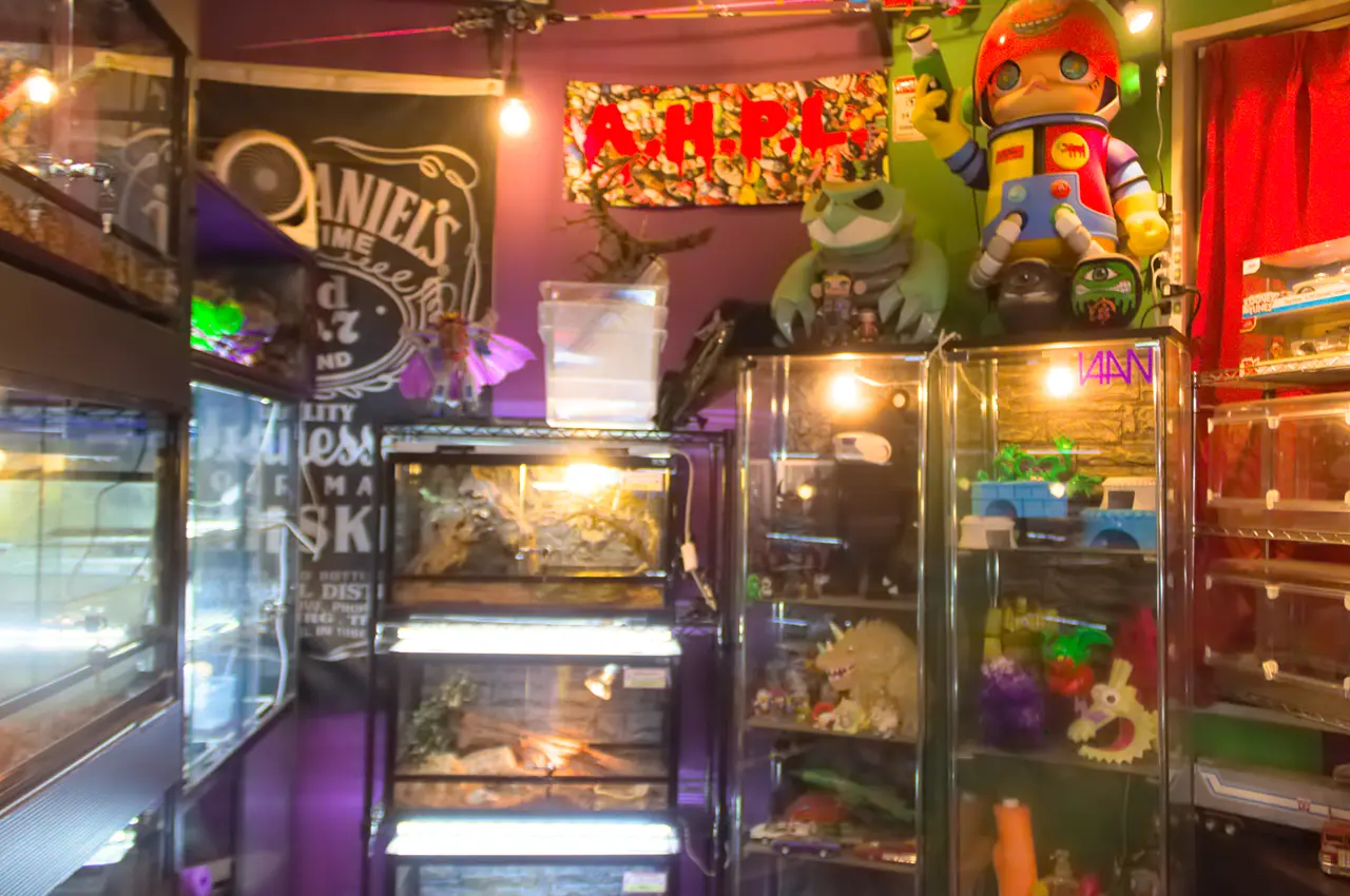 アニマルショップ+カフェ＆バー　パライゾ　店内