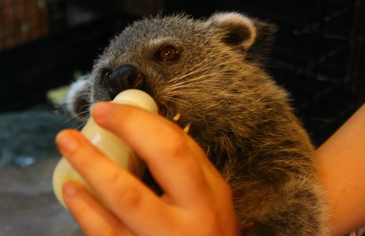 アニマルショップ+カフェ&バー パライゾ ビントロング