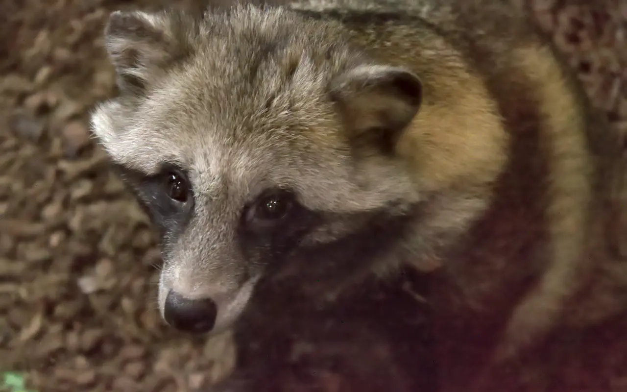 一眼レフ　RAW現像　アフター