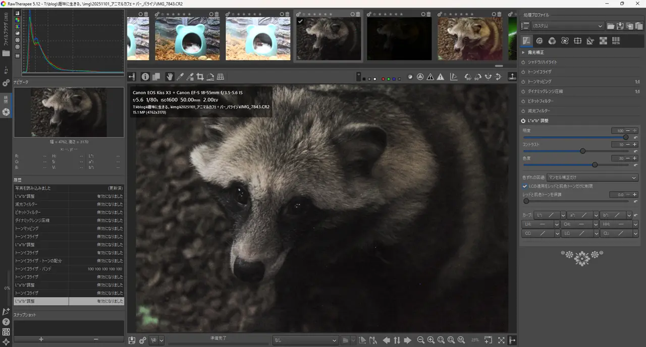 一眼レフ　RAW現像　RAW Therapee L*a*b*調整