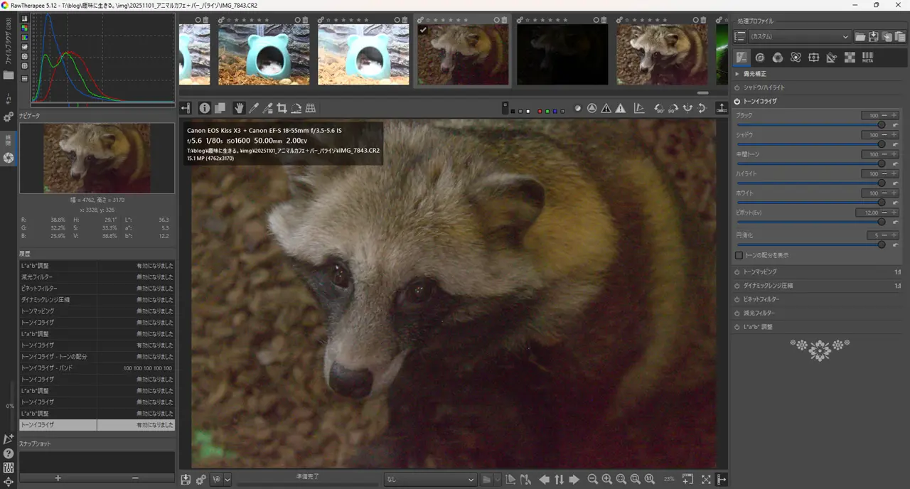 一眼レフ　RAW現像　RAW Therapee トーンイコライザ