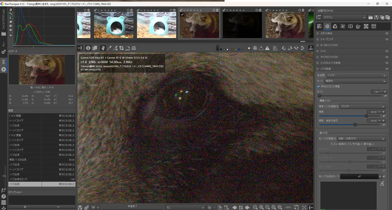 一眼レフ　RAW現像　RAW Therapee ノイズ低減前