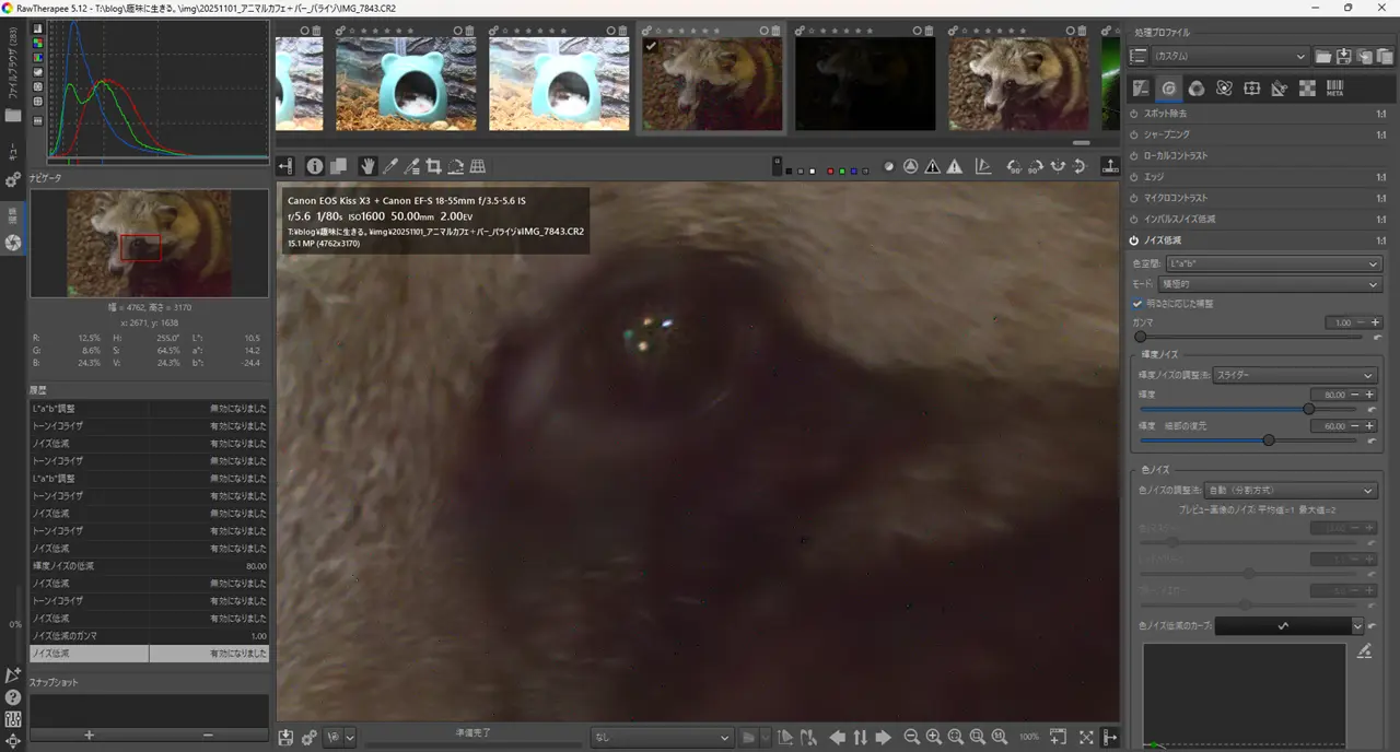 一眼レフ　RAW現像　RAW Therapee ノイズ低減後