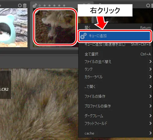 一眼レフ　RAW現像　RAW Therapee　キューに追加
