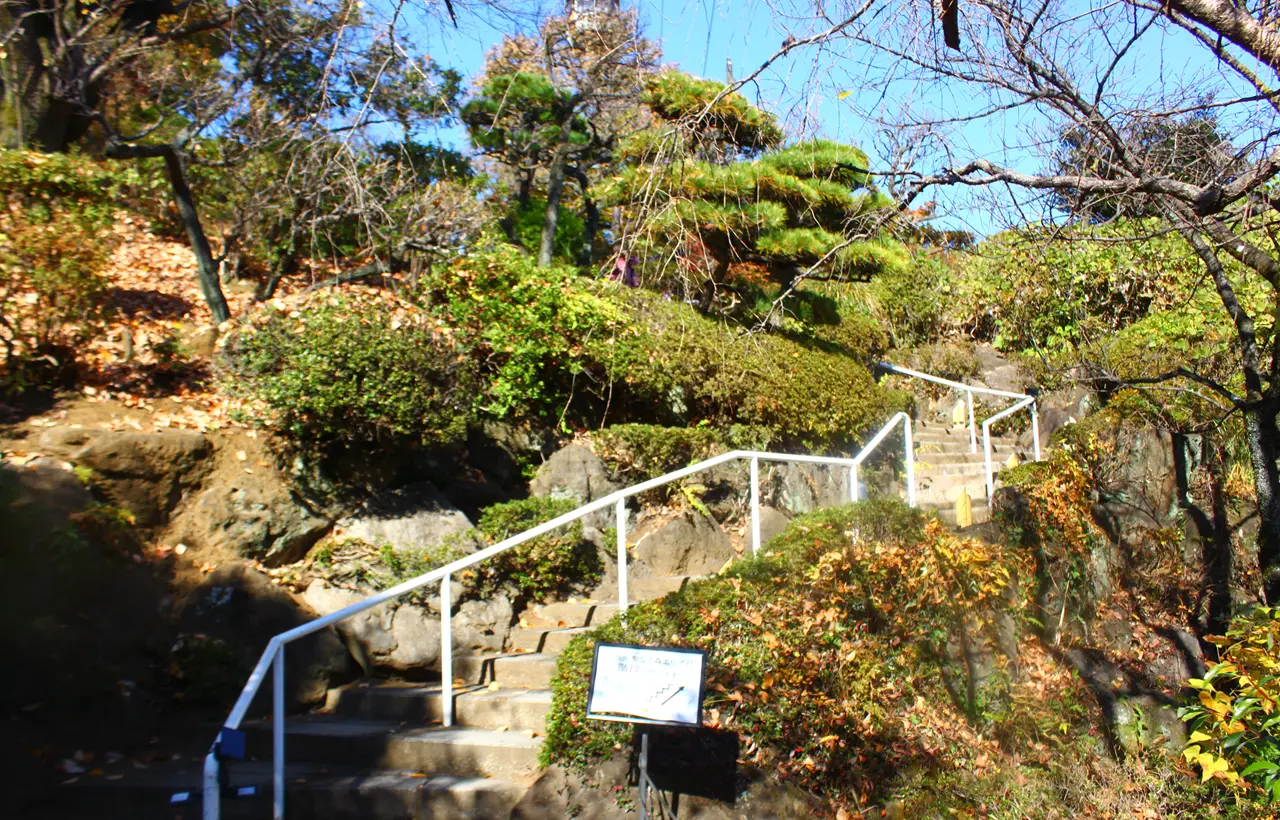 HANA・BIYORI（はなびより）　聖なる森　入口