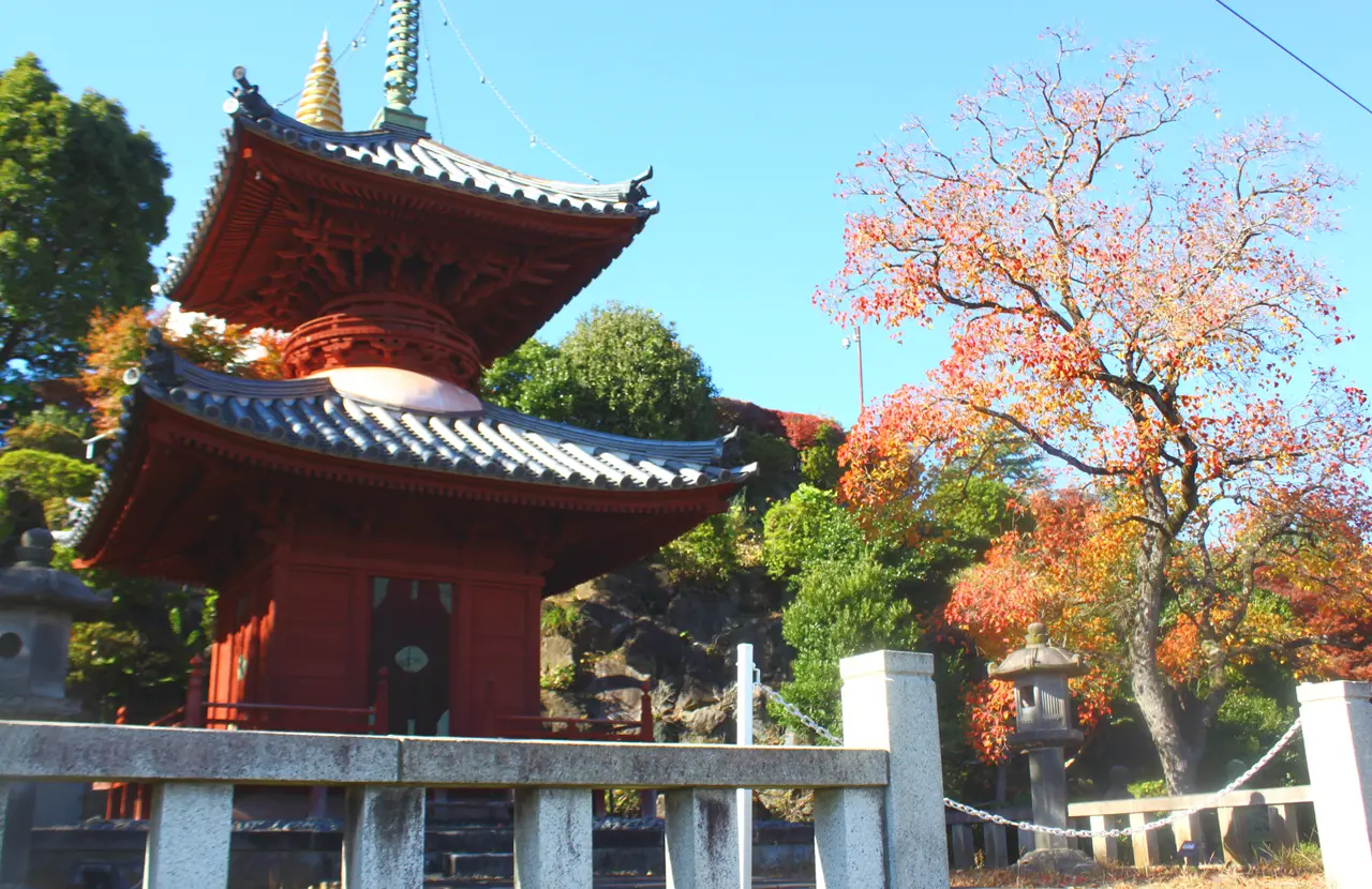 HANA・BIYORI（はなびより）　聖なる森　多宝塔