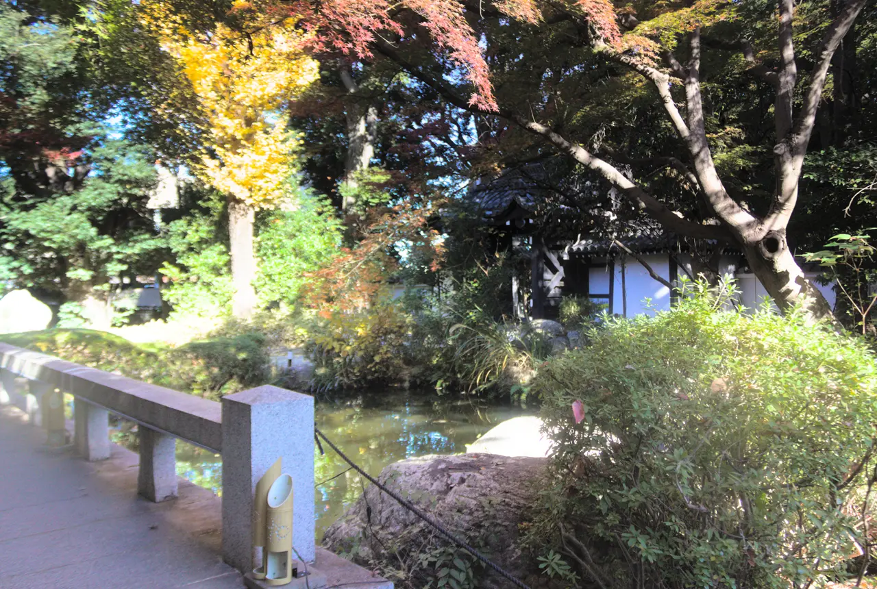 HANA・BIYORI（はなびより）　聖なる森