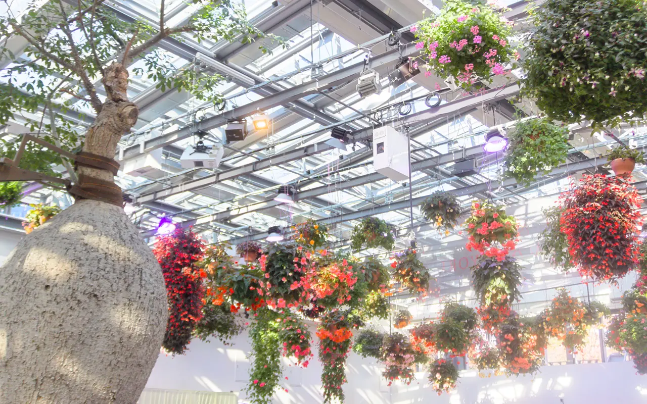 HANA・BIYORI（はなびより）　HANA・BIYORI館