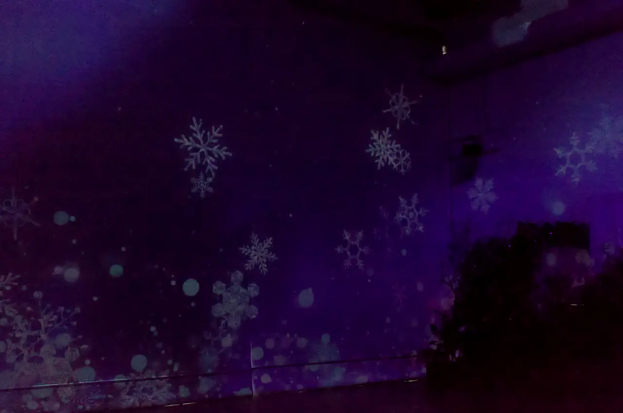 HANA・BIYORI（はなびより）　プロジェクションマッピング