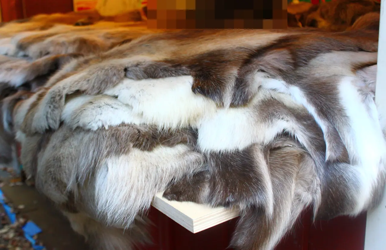 東京クリスマスアドベント in 上野公園　トナカイラグ