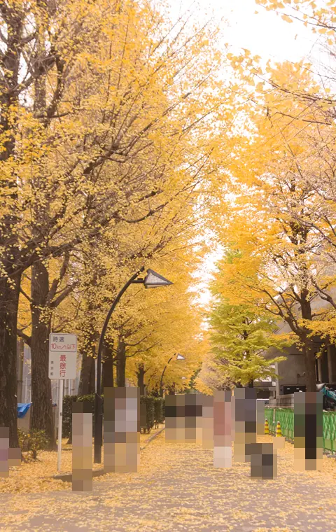 上野公園　紅葉　正岡子規記念球場　イチョウ並木