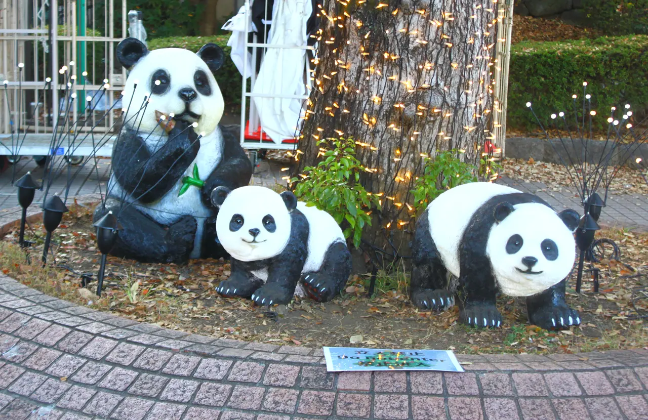 上野シタマチCHRISTMAS　パンダのオブジェ