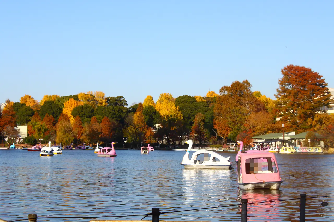 上野　不忍池　紅葉