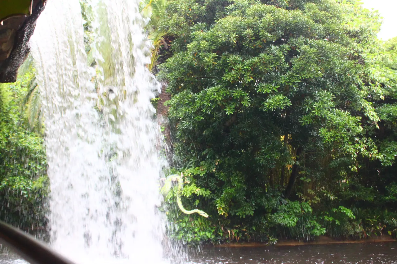 東京ディズニーランド　ジャングルクルーズ：ワイルドライフ・エクスペディション