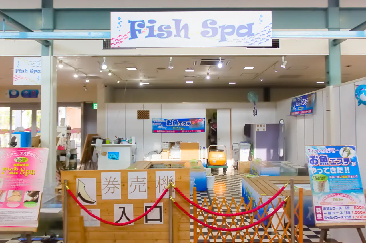八景島シーパラダイス　フィッシュスパ