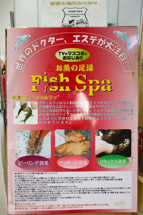 八景島シーパラダイス　フィッシュスパ