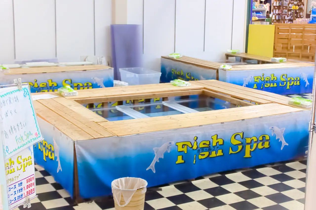八景島シーパラダイス　フィッシュスパ