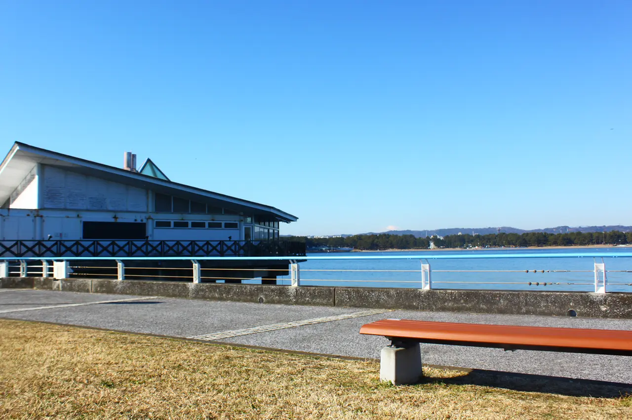 八景島シーパラダイス　グリーン広場