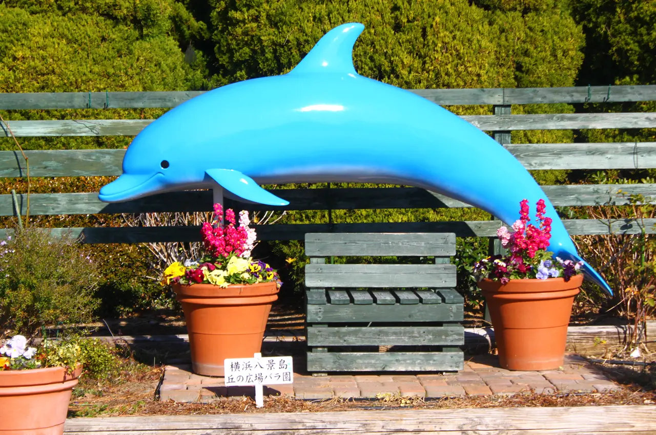 八景島シーパラダイス　丘の広場バラ園　フォトスポット