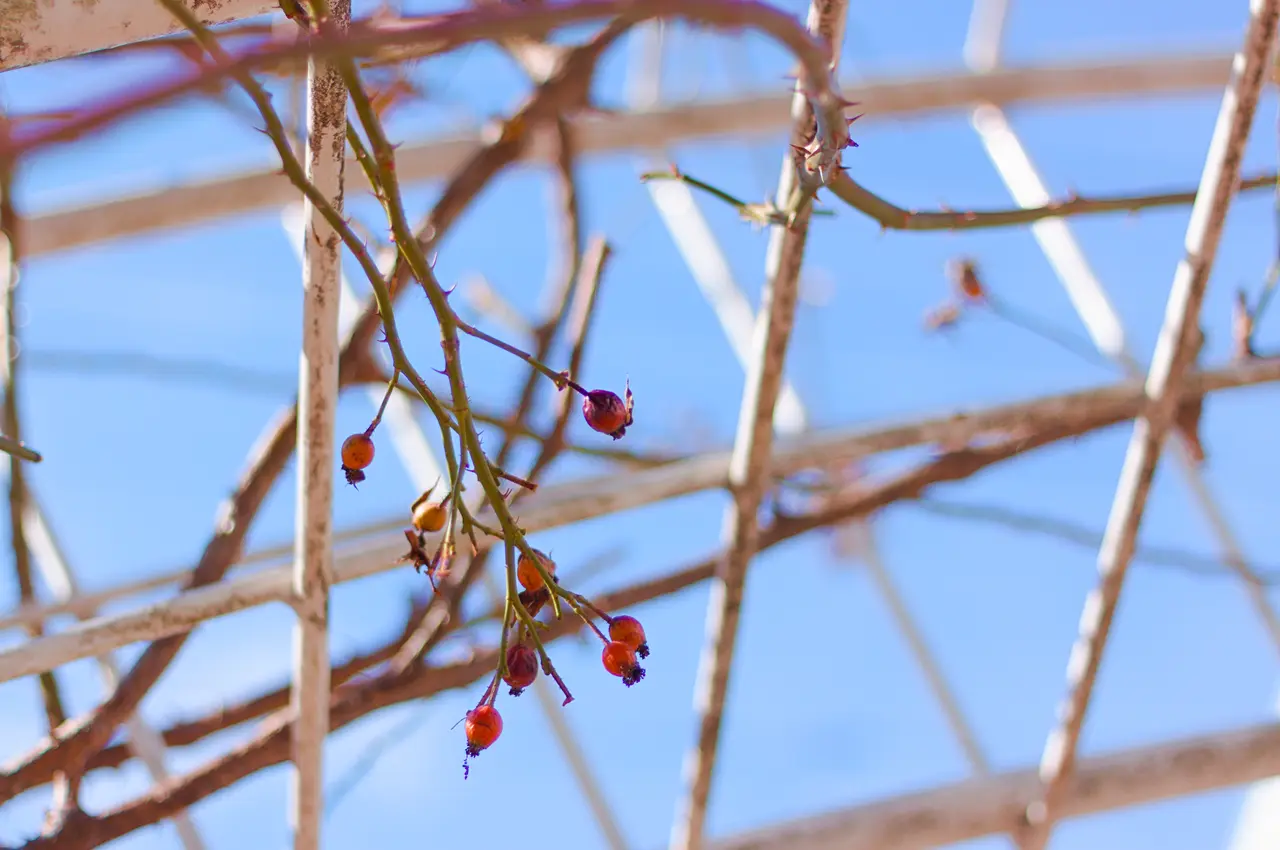盛岡観光　いーはとーぶアベニュー材木町