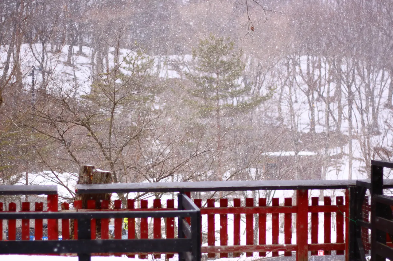 宮城蔵王キツネ村