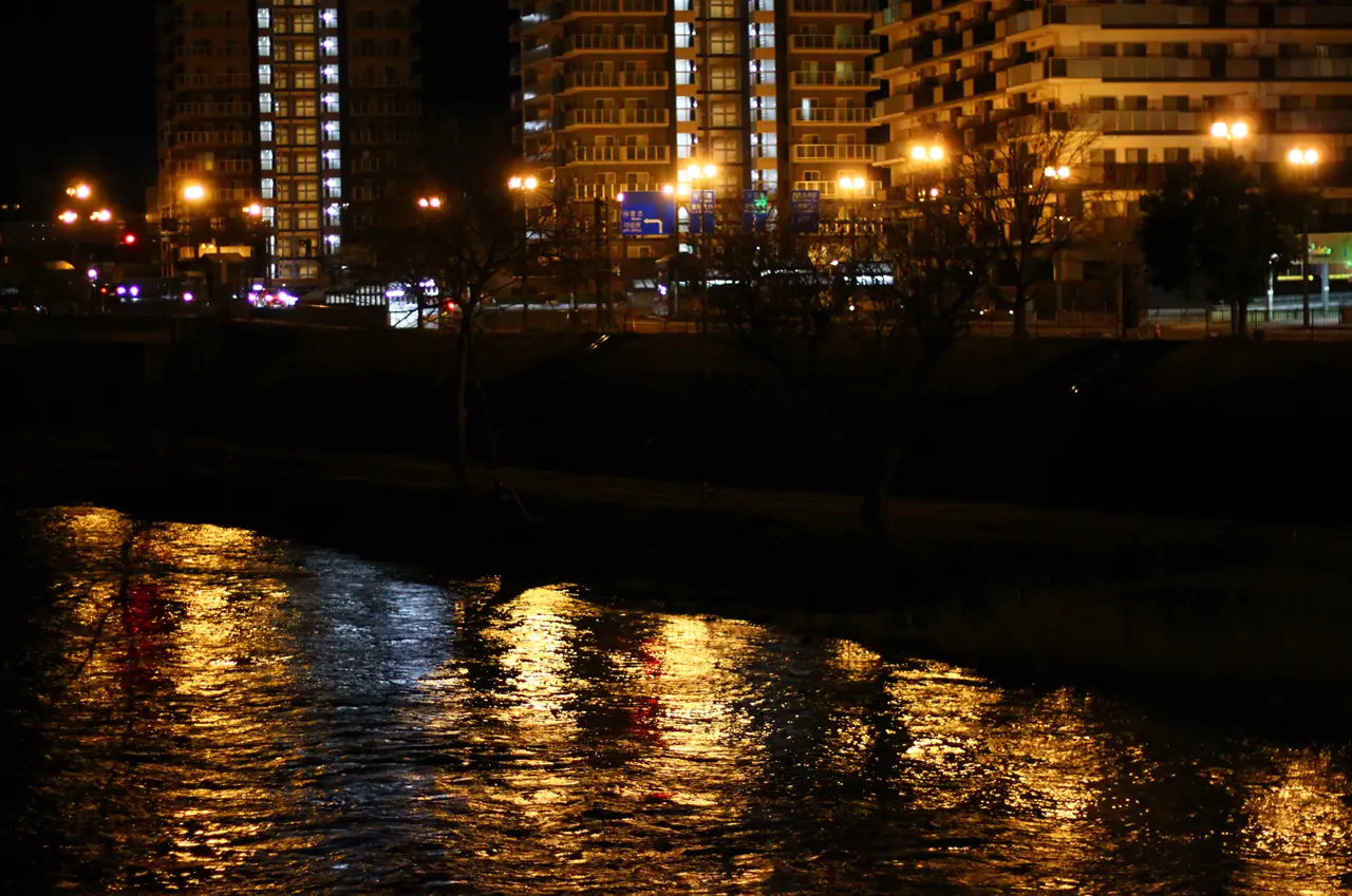盛岡観光　開運橋からの夜景