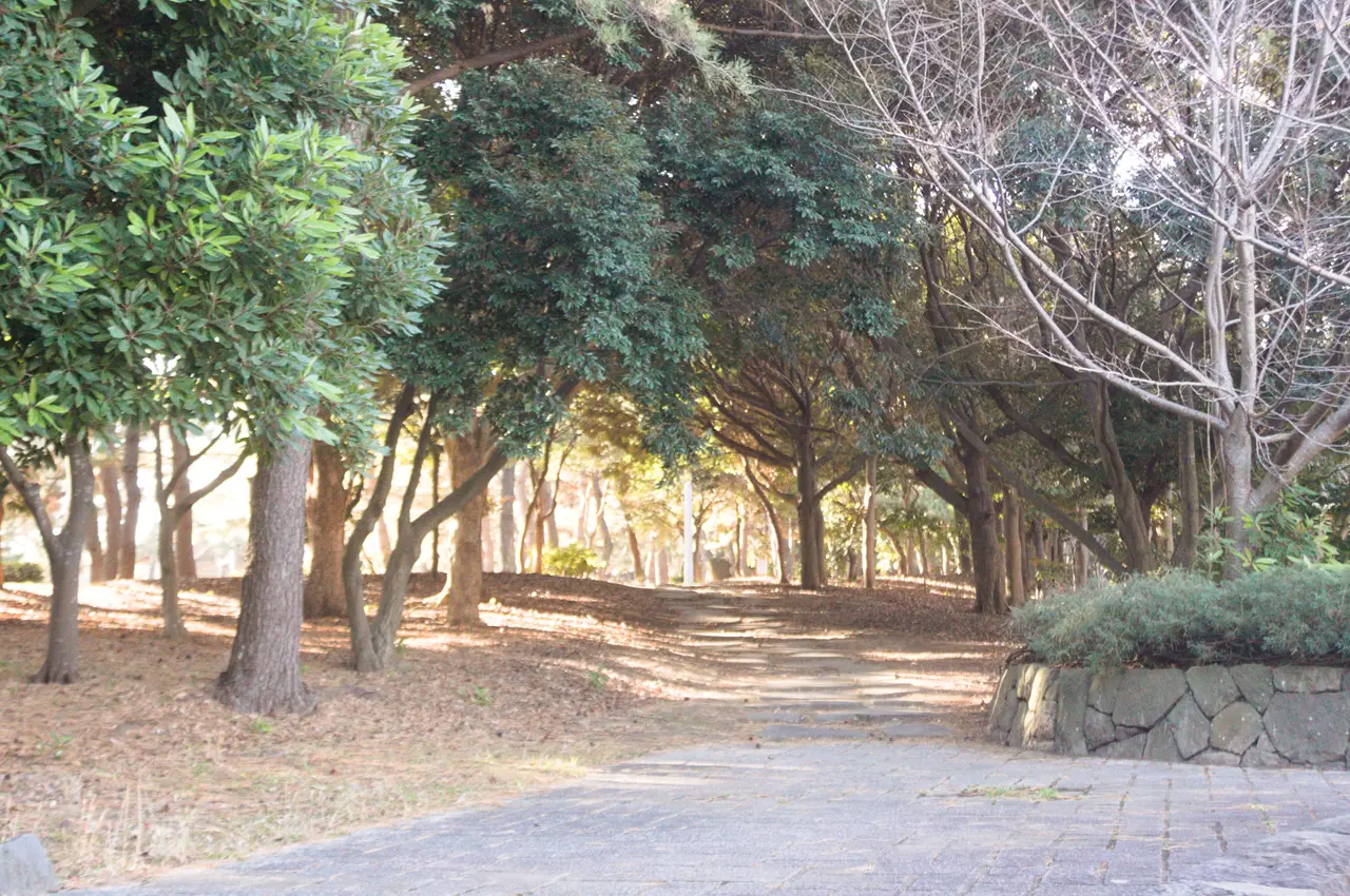 神奈川　横浜　海の公園　ジョギングコース入口