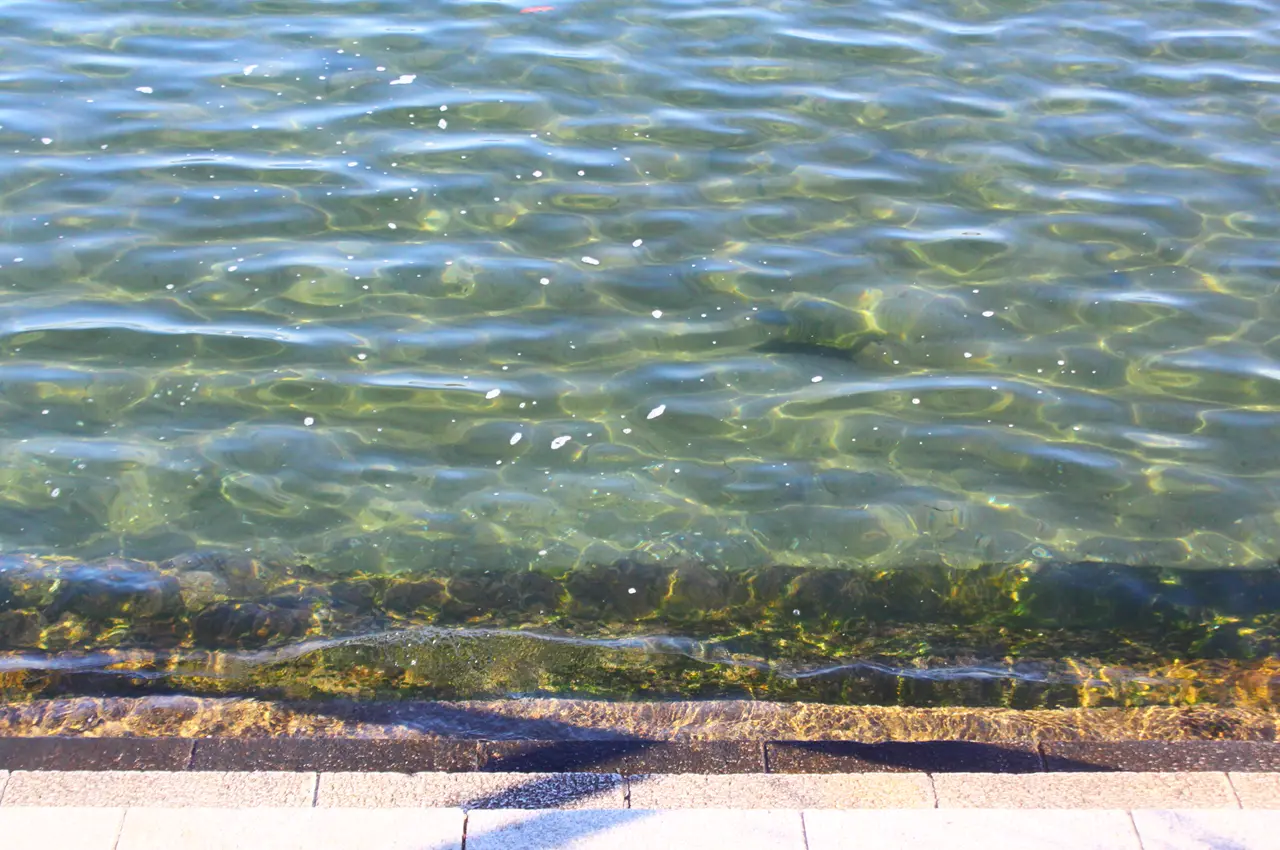 神奈川　横浜　海の公園