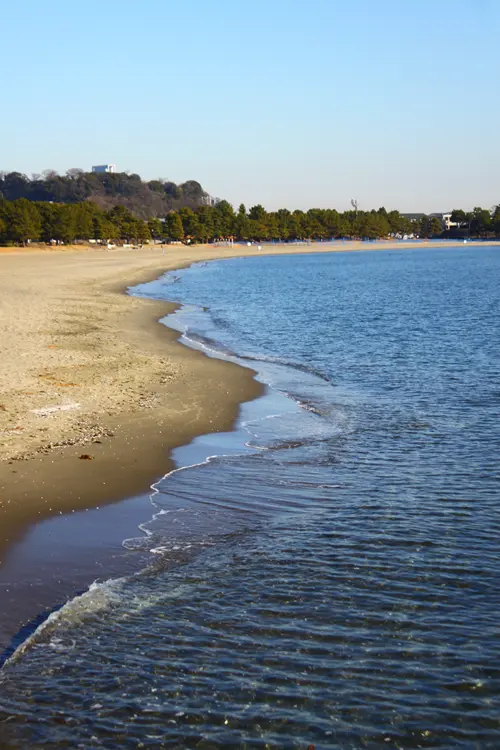 神奈川　横浜　海の公園　海岸